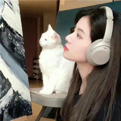 真假美猴王之大圣无双